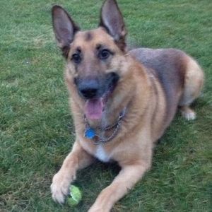 Meet your Posher, Tina